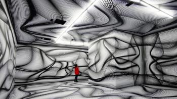 © Peter Kogler, Ohne Titel, Grand Palais, Paris, 2018 © Peter Kogler, Ohne Titel, Grand Palais, Paris, 2018