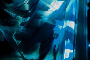 Lema Barros, Schäfer, Submerged Reverie Poster 2  ©  René Schäfer