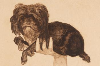 Max Klinger, Tjou-Tjou (Bildnis eines Hundes), 1883, Radierung und Kaltnadel, Staatliche Kunstsammlungen Dresden, Kupferstich-Kabinett © Kupferstich-Kabinett Max Klinger, Tjou-Tjou (Bildnis eines Hundes), 1883, Radierung und Kaltnadel, Staatliche Kunstsammlungen Dresden, Kupferstich-Kabinett © Kupferstich-Kabinett