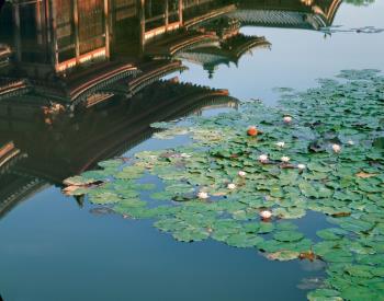 Byôdôin-Tempel, Kyoto © Miyoshi Kazuyoshi Byôdôin-Tempel, Kyoto © Miyoshi Kazuyoshi