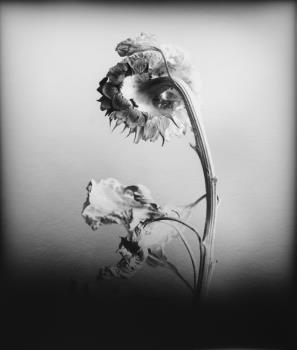 Thomas Bachler © Thomas Bachler Thomas Bachler © Thomas Bachler