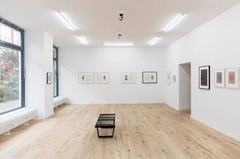 The Algorists, Exhibition View, 2026. Photo: Ea Bertrams. © the artists The Algorists, Exhibition View, 2026. Photo: Ea Bertrams. © the artists